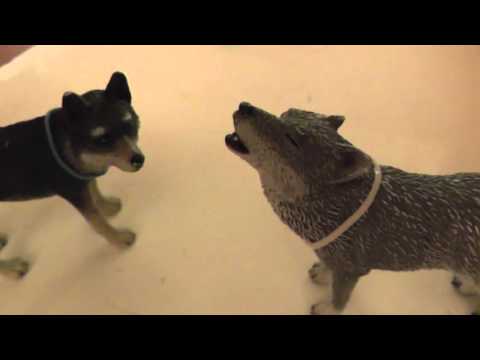 Видео: Жизнь волков. 2 серия