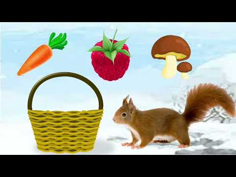 Видео: Заняття розвиток мовлення для дітей раннього віку.               Тема: "До нас білочка прийшла"