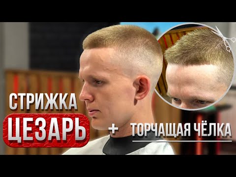 Видео: Мужская стрижка | Стрижка Цезарь | Caesar | Barber | Барбер | Фейд | Fade | Мужские стрижки 2024 |