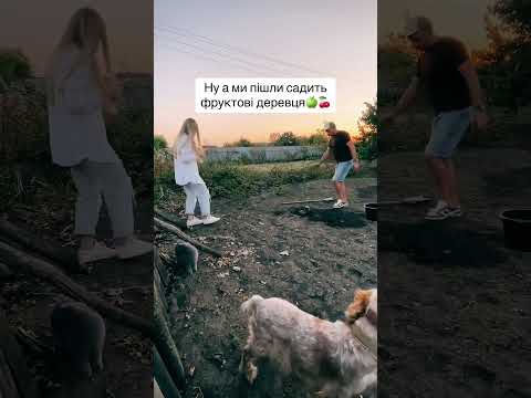 Видео: #yuotube #василишин #farming #життя #сельскоехозяйство #family #дача #top #село #дерева