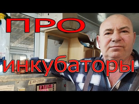 Видео: Сколько раз проветривать инкубатор? Для чего нам канал Ютуб?