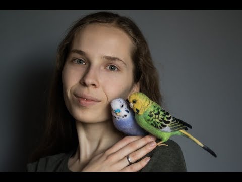 Видео: Эфир Аси.  Про ценность валяния.  Часть 1