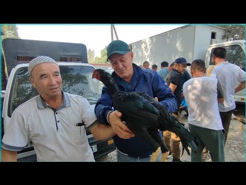 Видео: МАНА У́ША ЕСИН СЕШАНБА БОЗОРИ ЕСКИ ПАРВОЗЛАРИ ДАКАН ХУ́РОЗЛАР ТОВУКЛАР ЖУ́ЖАЛАР БУ́ЛДИ 
