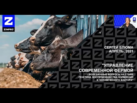 Видео: Вебинар компании Zinpro совместно с ООО «Континентал Технолоджис».