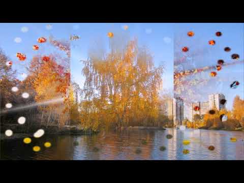Видео: Золотая осень Нижний Новгород Автозавод Озеро земснаряд