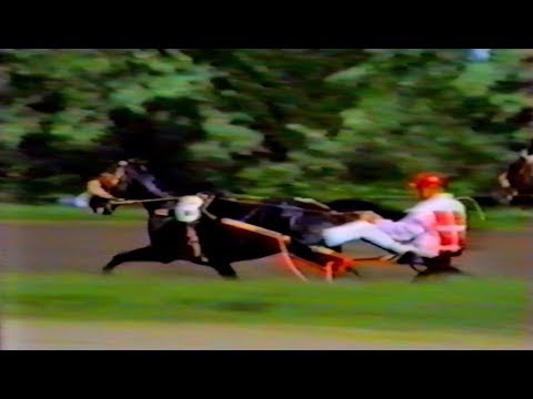 Видео: Киевский ипподром. 21 июня 1992 года. "Дерби", "Элита", "Трёхлетний", "Гильдейца"...""