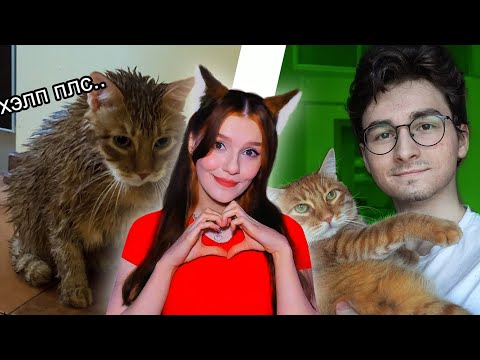 Видео: ТРАНСФОРМАЦИЯ КОТА за 24 часа TheBrianMaps БРАЙН МАПС РЕАКЦИЯ