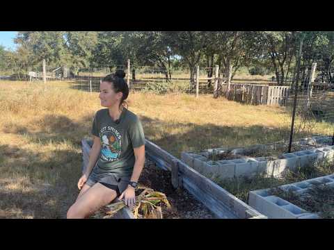 Видео: Между сезонами | Новости о приусадебном участке, неудачи в саду и заморозка клубники