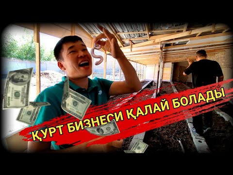 Видео: КОЛИФОРНИЯ ҚЫЗЫЛ ҚУРТ БИЗНЕСИН БАСЛАДЫҚ/СИЗГЕДЕ ИМКАНИЯТ БАР