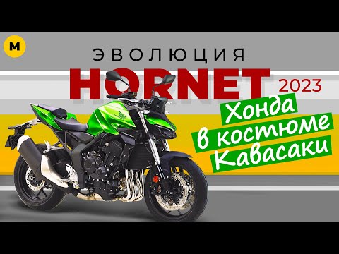 Видео: Два новых Хорнета | История Honda Hornet | CB500 Hornet и CB1000 Hornet