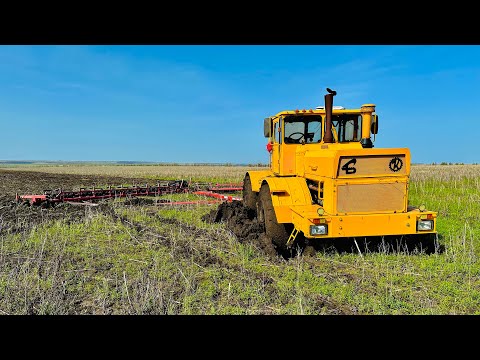 Видео: Кировец К-700 Лущение. Решили проблему с перегревом двигателя