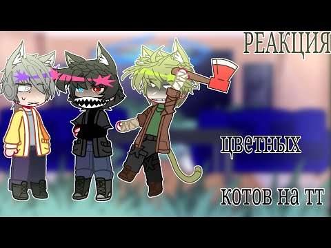 Видео: реакция цветных котов на тт :ррр