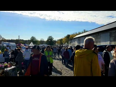 Видео: Ярмарка Кропоткин 29.10.2023 год