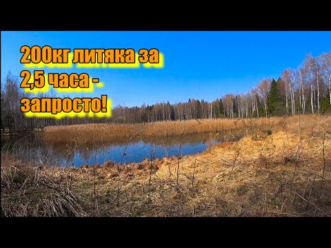 Видео: 200кг ЛИТОГО МЕТАЛЛА ИЗ ОДНОЙ ЯМКИ! НАТКНУЛСЯ НА СБРОС С СОВЕТСКОЙ ТОКАРКИ!
