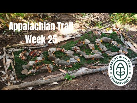 Видео: Неделя 25: Эпизод, где я увидел лося и прошёл 2000 миль | Поход по Аппалачской тропе 2025