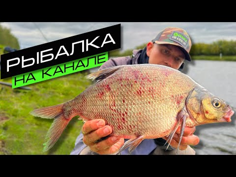 Видео: ЛОВЛЯ ЛЕЩА НА ФИДЕР / РЫБАЛКА НА КАНАЛЕ / FROS FISHING