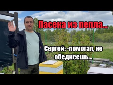 Видео: Пасека из пепла… пчеловод пчеловоду-друг!