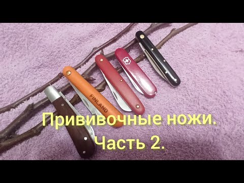 Видео: Прививочные ножи.Часть 2. Какой нож лучше режет черенки и делает окулировку.