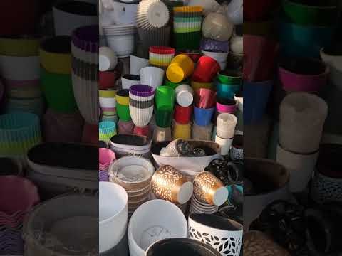 Видео: АНДИЖОН ЖАХОН БОЗОРИ ГУЛ БОЗОРИ ГУЛ ОЛАДИГАНЛАР УЧУН 94 437 08 80 ТЕЛ КИЛИБ ЗАКАЗ БЕРИНГЛАР