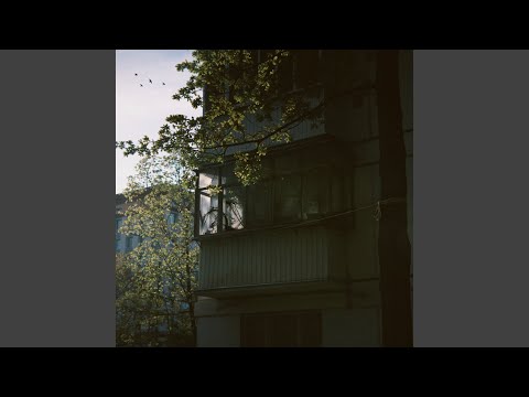 Видео: это называют любовь