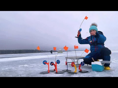 Видео: Зимняя рыбалка 2023 в палатке на ВОДОХРАНИЛИЩЕ. #365