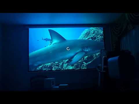 Видео: Xiaomi no smart projector тест работы