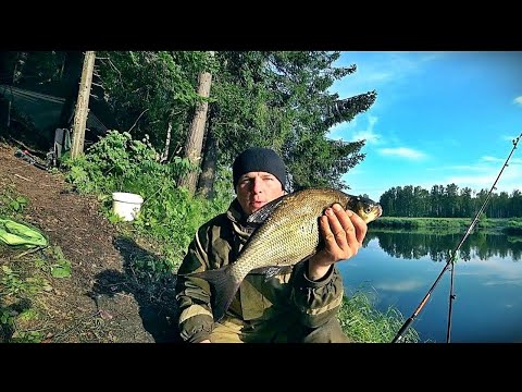 Видео: ЛОВЛЯ ЛЕЩА НА ДОНКИ/ПРАВИЛЬНЫЙ МОНТАЖ/РЫБАЛКА С НОЧЁВКОЙ/НОВЫЕ МЕСТА...