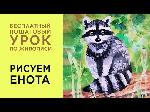 Видео: Как нарисовать енота гуашью, пошаговый урок для детей от 7 лет и взрослых.