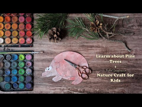 Видео: Pine Tree Learn and Craft / Кратък урок за иглолистните растения + забавна детска апликация от борче