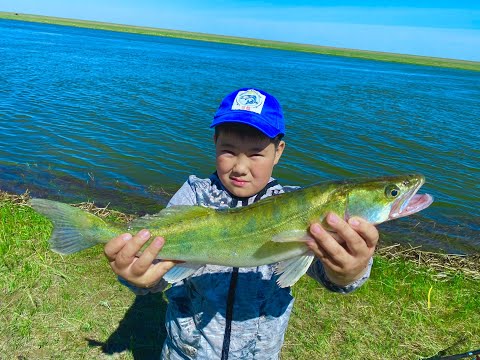Видео: Надо признать, это был ЖОР/Рыбалка/Открыли летний сезон 2021/обзор тент Маркиза/