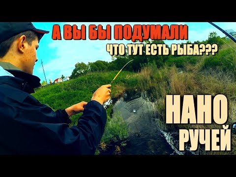 Видео: СУПЕР-НАНО-РУЧЕЙ и ГОЛОДНЫЕ щурята! Это САМЫЙ МАЛЕНЬКИЙ водоём, где я ловил щуку!!!