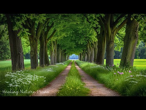 Видео: Восстановите нервную систему🌿 Красивая расслабляющая музыка, Звуки природы