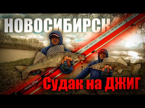 Видео: ВОЛОСЫ ДЫБОМ ОТ ТАКИХ ПОКЛЕВОК / РЫБАЛКА НА СУДАКА В НОВОСИБИРСКЕ.