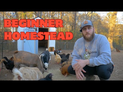 Видео: Итак, вы хотите завести собственное хозяйство? (Советы новичкам от новичка)