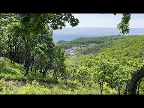 Видео: Прогулка на пляж... г.Находка 13.06.2022