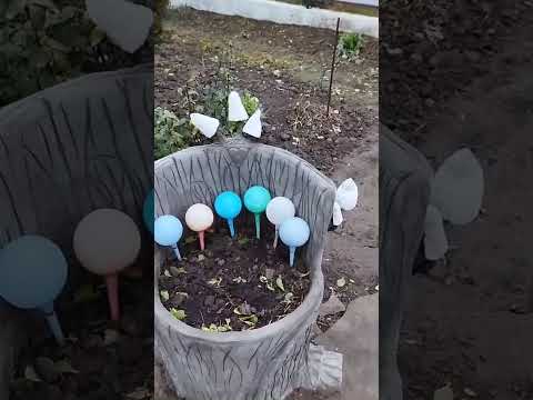 Видео: 6 ноября 2025 г.