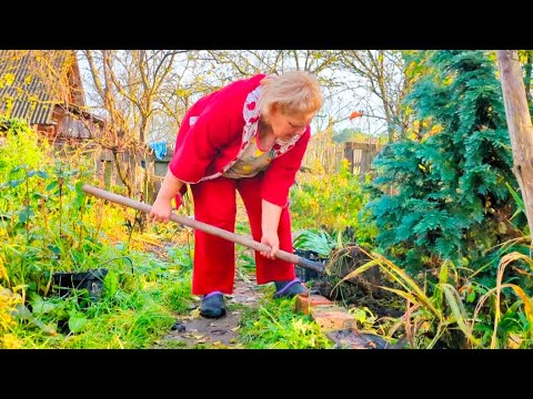 Видео: Жизнь в деревне. Пора убирать теплицу.Выкапываю гладиолусы 