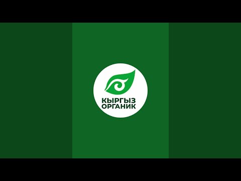 Видео: Кыргызско Китайский Деловой Совет