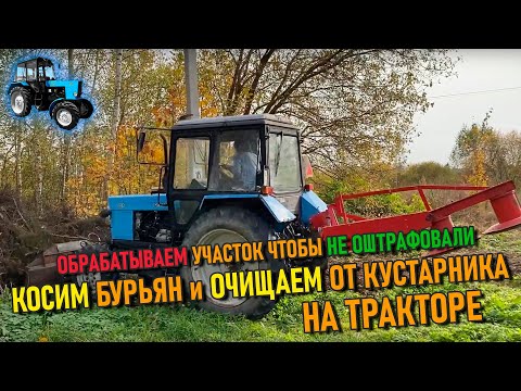 Видео: Как мы боремся с природой | Косим бурьян и очищаем от зарослей участок 4,5 гектара на тракторе 🚜