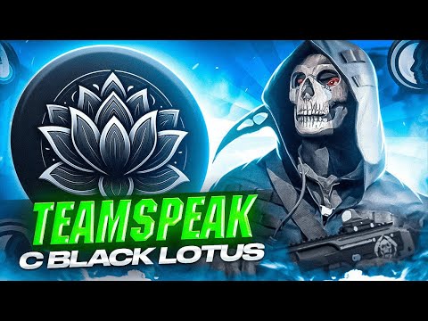 Видео: ТИМСПИК С КИБЕРСПОРТСМЕНАМИ ИЗ BLACK LOTUS В CALL OF DUTY MOBILE