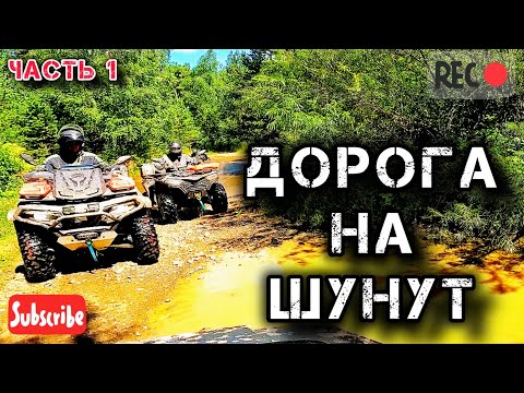 Видео: На квадриках на Шунут Первый дальняк #квадропокатушки #trending