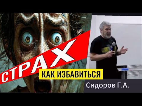 Видео: СТРАХ.  Сидоров Георгий.  #познавательное #рекомендации #сидоров#страх#страхипроработка