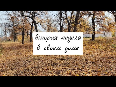 Видео: Вторая неделя, как мы переехали из города в деревню. Вырубили весь виноград. Придется делать септик.