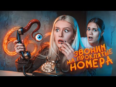 Видео: Звоним на СТРАШНЫЕ НОМЕРА с Anniemia. LyapoTanya