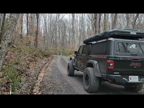 Видео: Приключение в ущелье реки Нью-Ривер в Западной Вирджинии