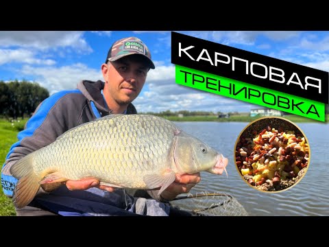 Видео: ЛОВЛЯ КАРПА НА ФИДЕР / РЫБАЛКА НА ПЛАТНИКЕ / FROS FISHING