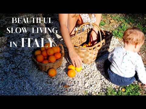 Видео: РЕМОНТ РАЗВАЛИН: новые шторы, самодельное искусство, прекрасные творческие дни дома с малышом (Эп...