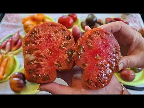 Видео: Дегустация 12  Блаженство вкуса