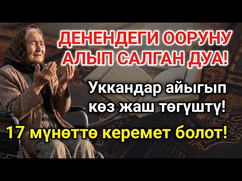 Видео: Күчтүү дуба денедеги ооруну чыгарып таштайт! 17 мүнөттө айыгуу келет!