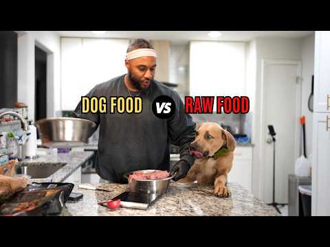 Видео: Корм для собак против сырой пищи